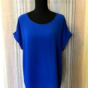 Pleione Blue Blouse with Pleated Back